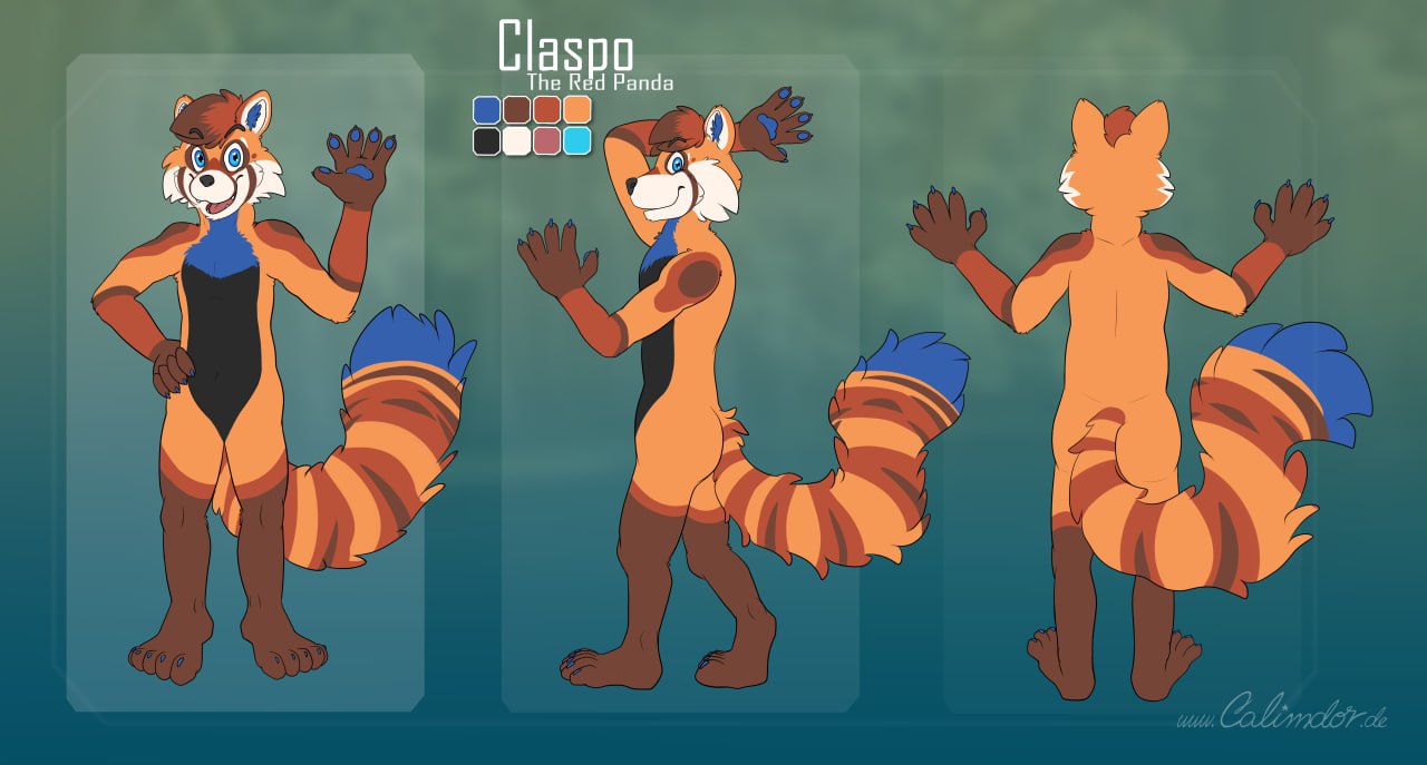 Claspo reference sheet with character details and colors